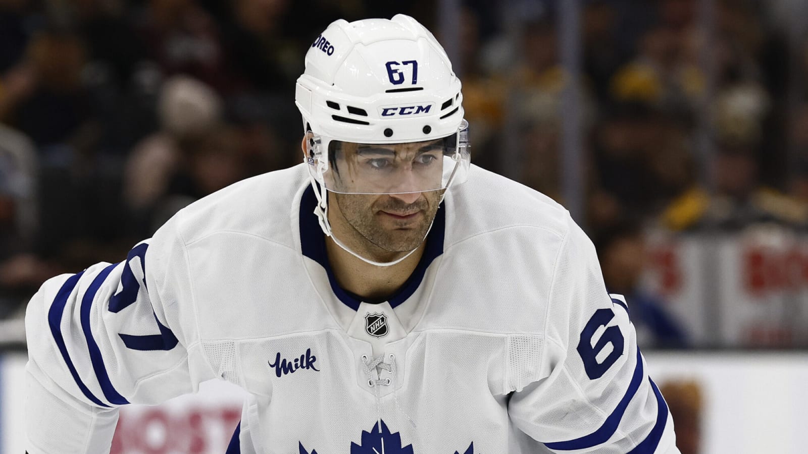Maple Leafs place Max Pacioretty on IR, Marshall Rifai called up from Toronto Marlies