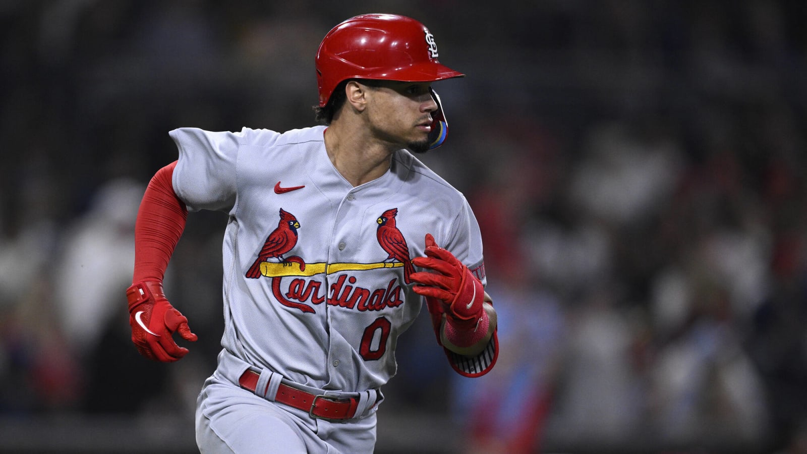 Cardinals Roster Moves