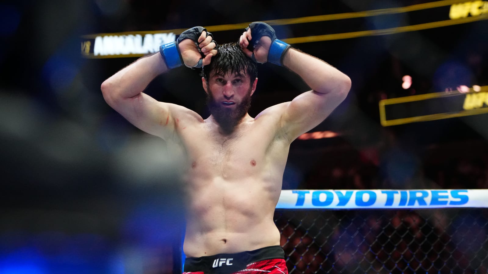 Magomed Ankalaev hints at Alex Pereira rematch date