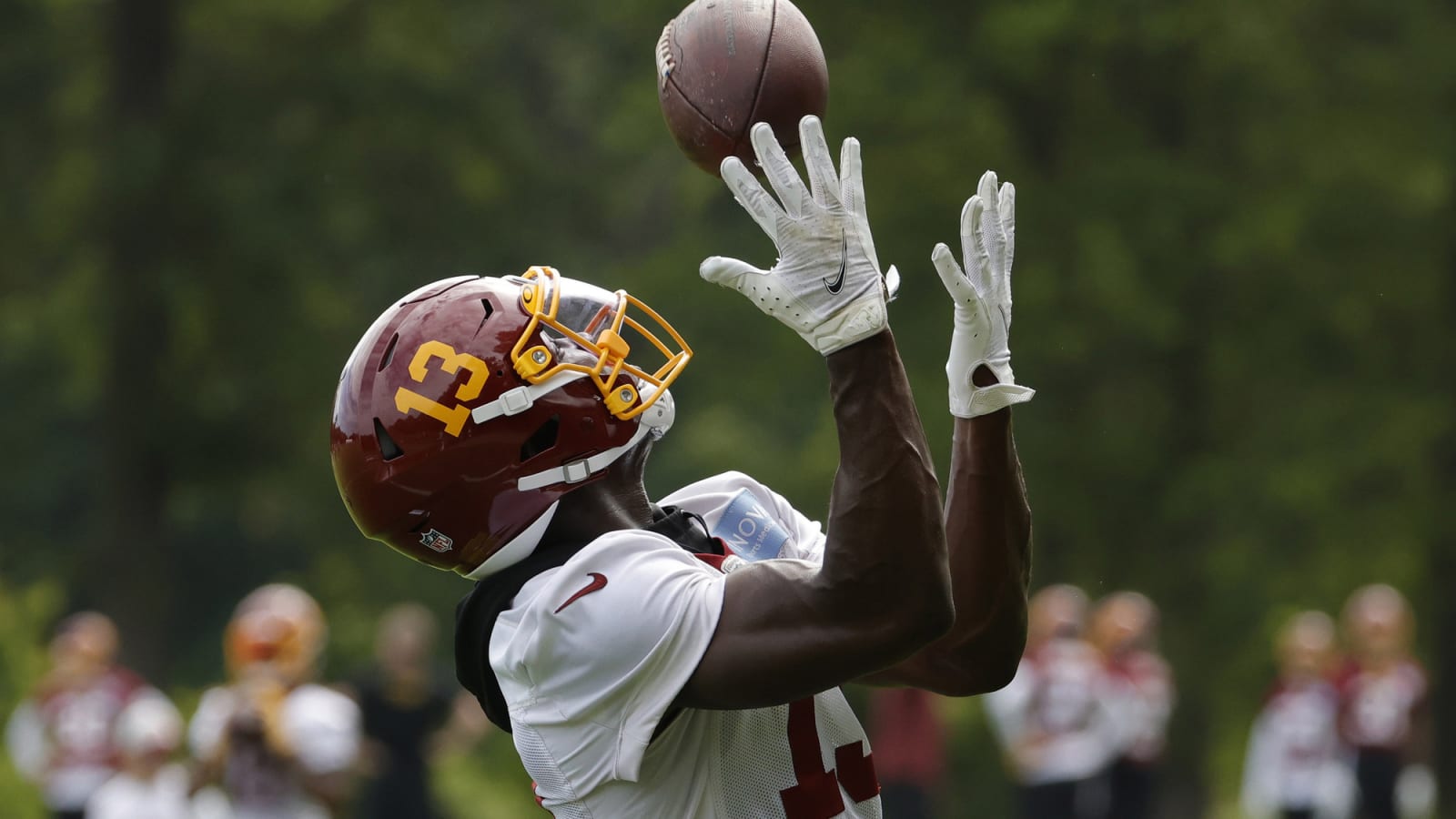 Cowboys Sign Two Wide Receivers