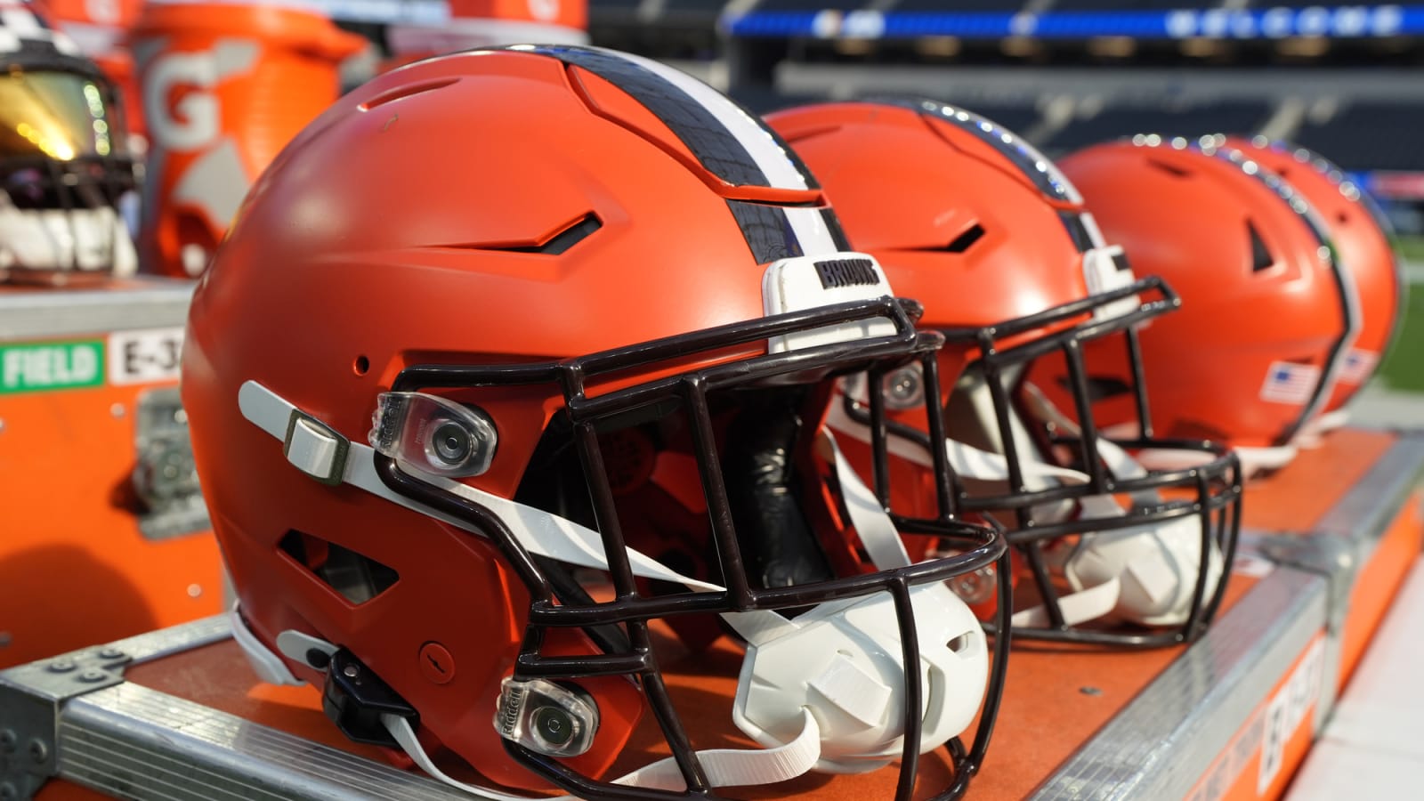 Cleveland Browns announce passing of beloved mascot