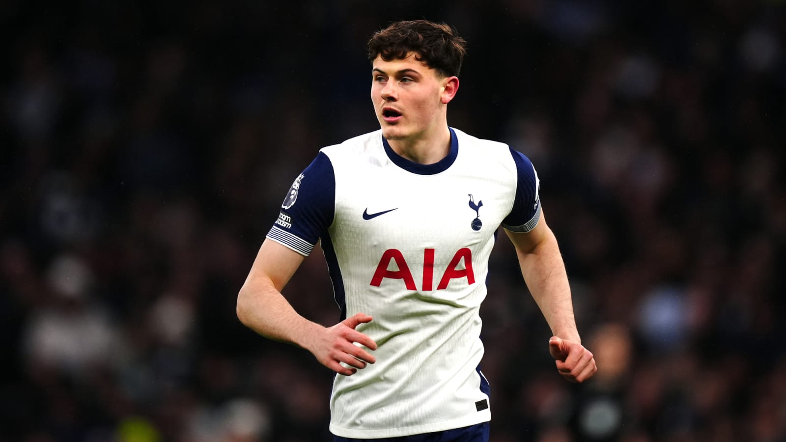 West Brom boss Tony Mowbray praises Tottenham loanee