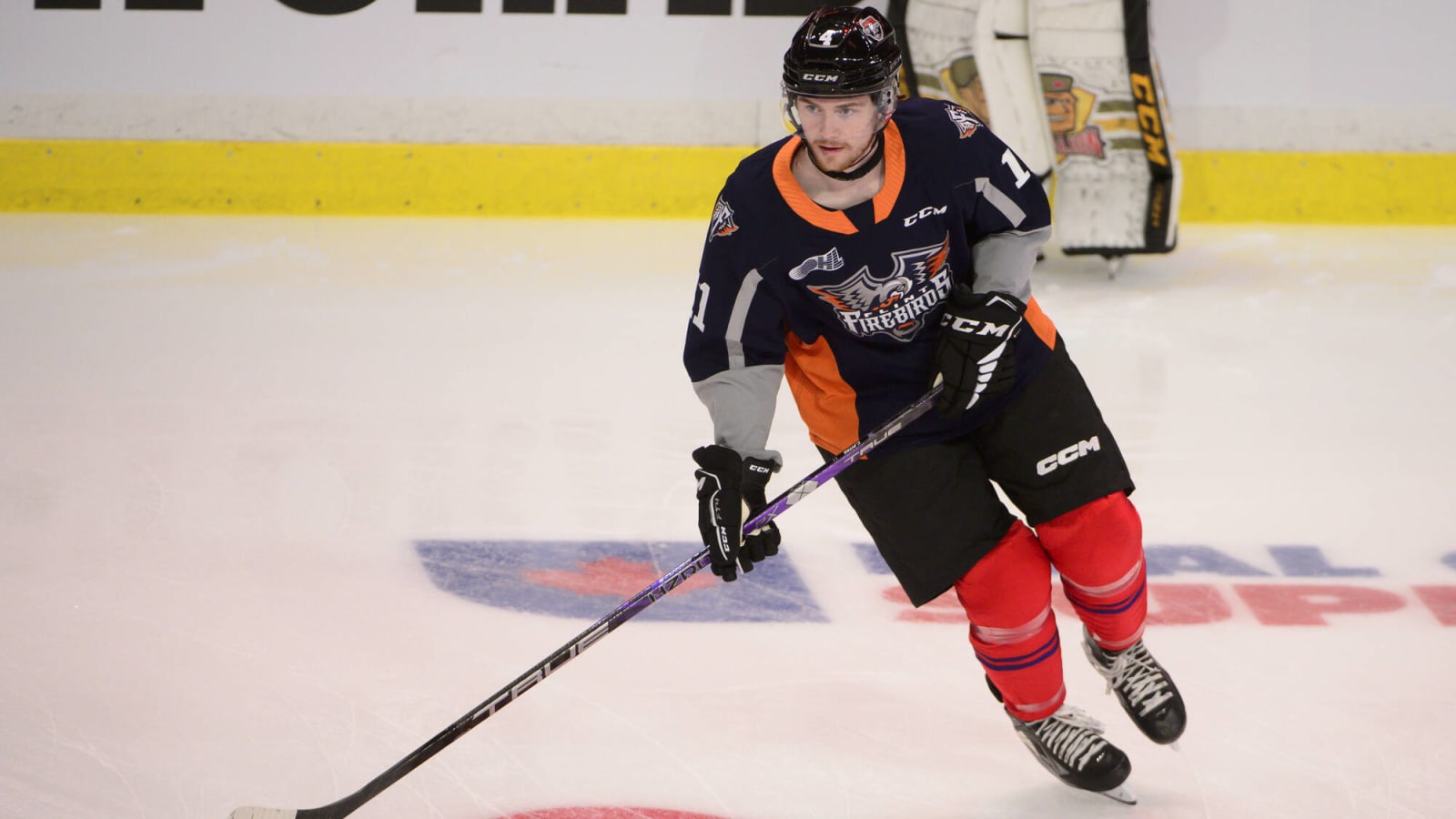 Anaheim Ducks sign Yegor Sidorov and Coulson Pitre to three-year, entry-level contracts