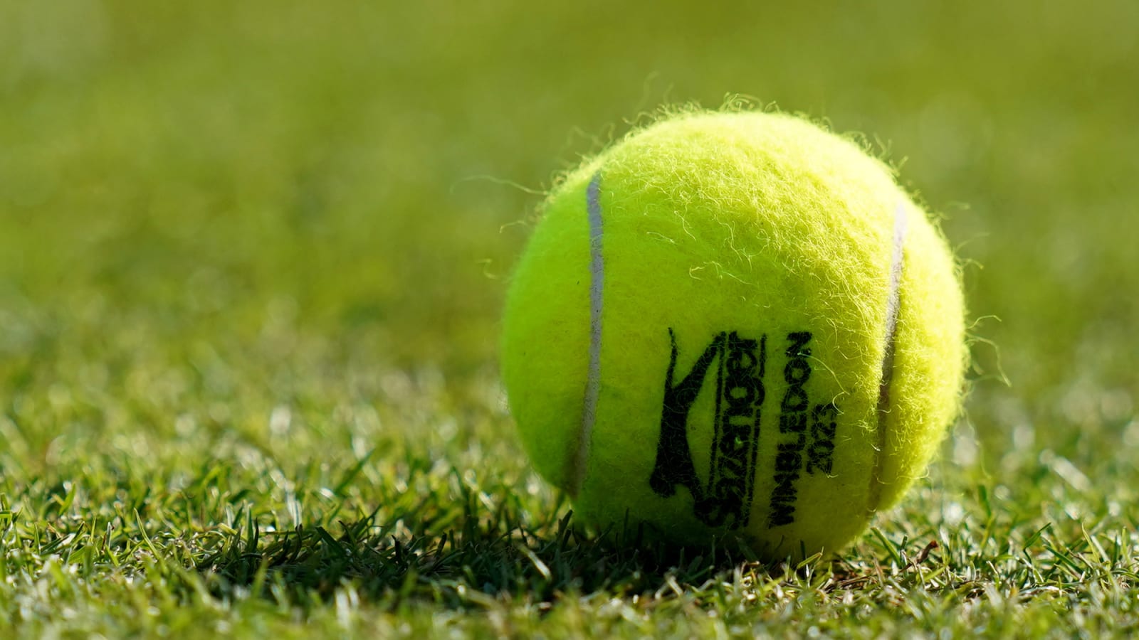 Prize Money and Points Breakdown 2025 Mexican Open Acapulco with record $2,585,410 on offer