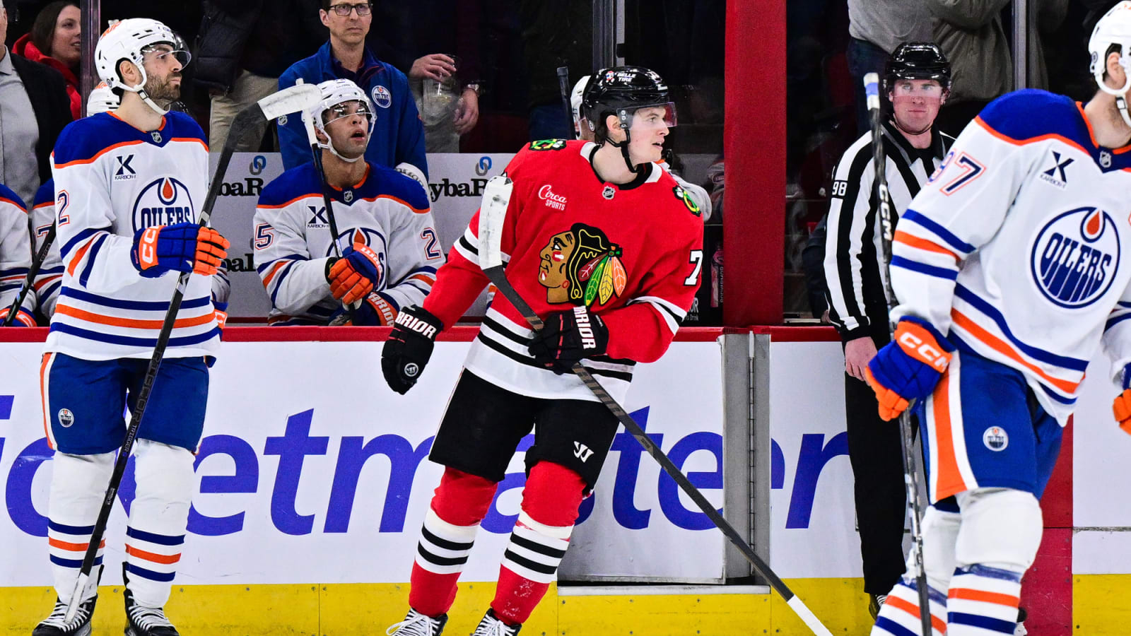 Bat makes appearance during Blackhawks-Oilers game at United Center