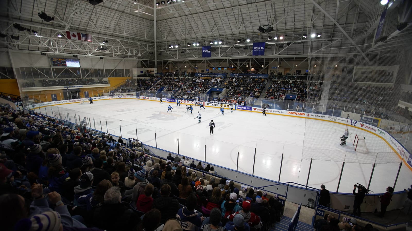 PWHL Toronto re-sign Carly Jackson to one-year contract