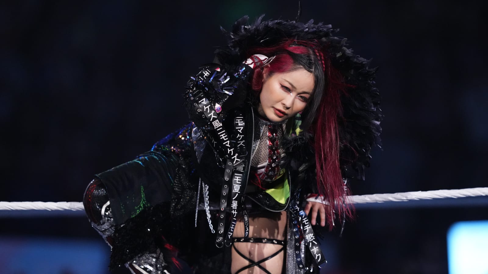 Massive WWE Championship Match Added to WrestleMania 41