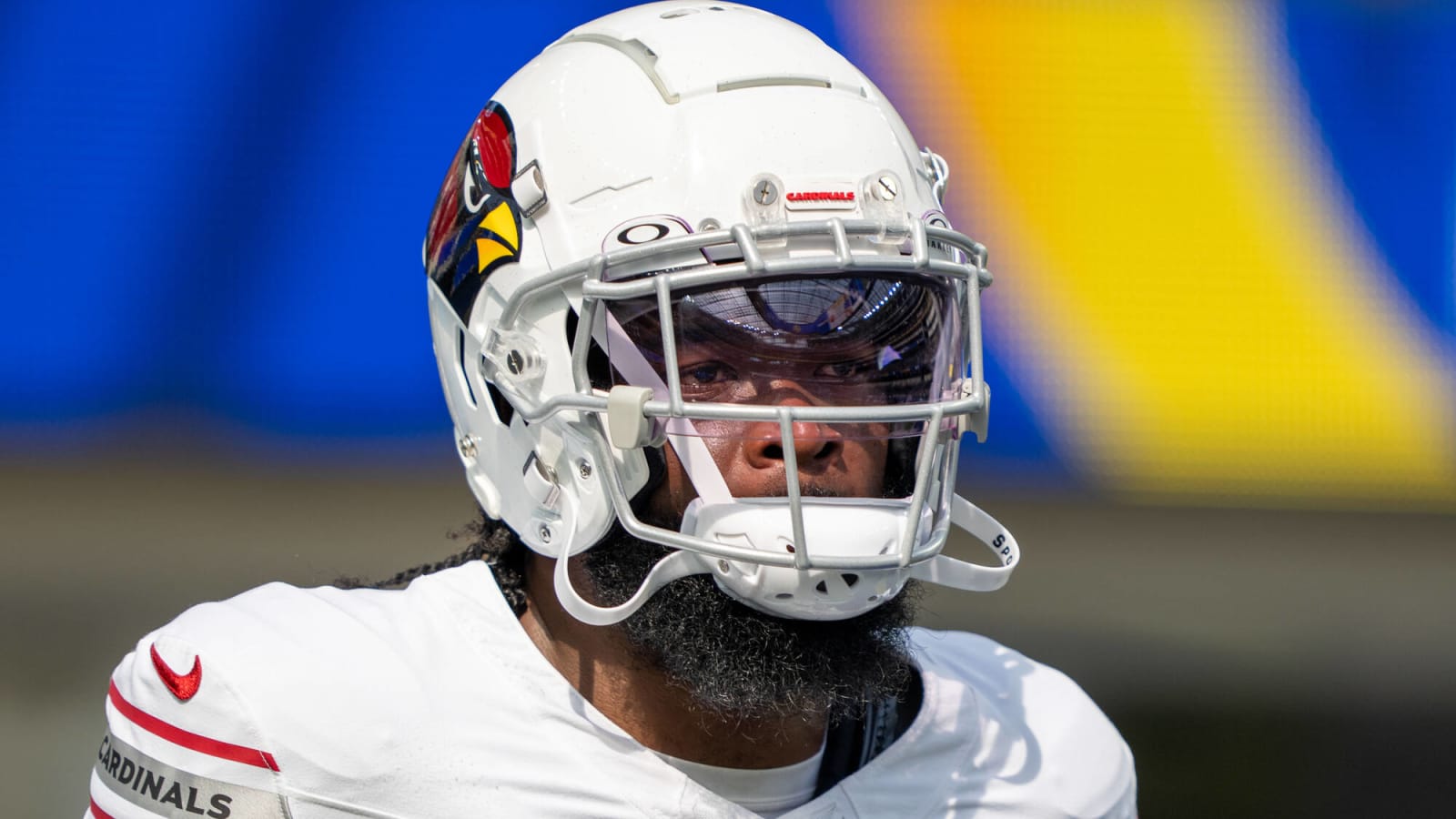Cardinals Release RB Damien Williams From PS Injured List