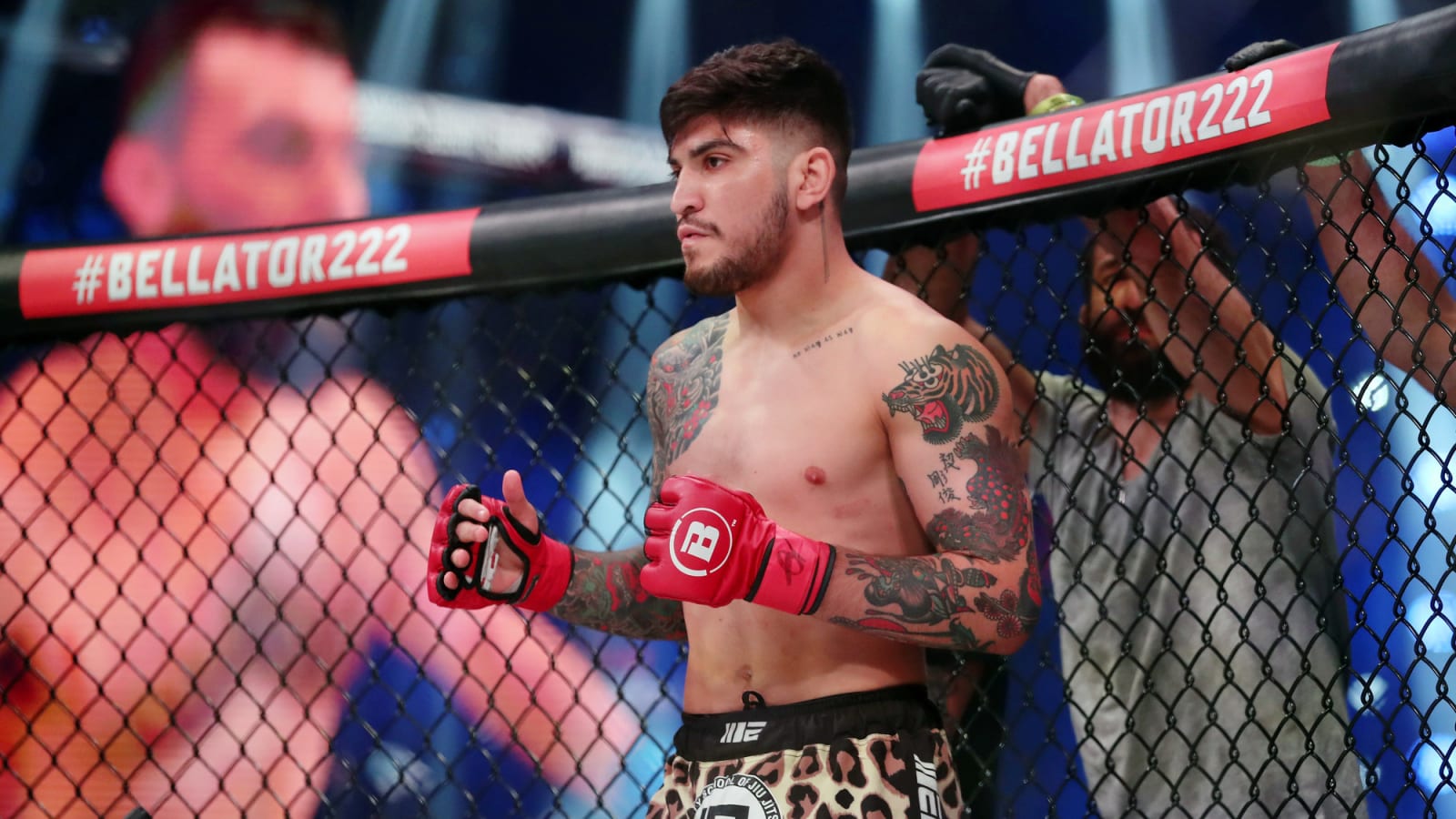 KSI vs. Dillon Danis confirmed for Misfits 21