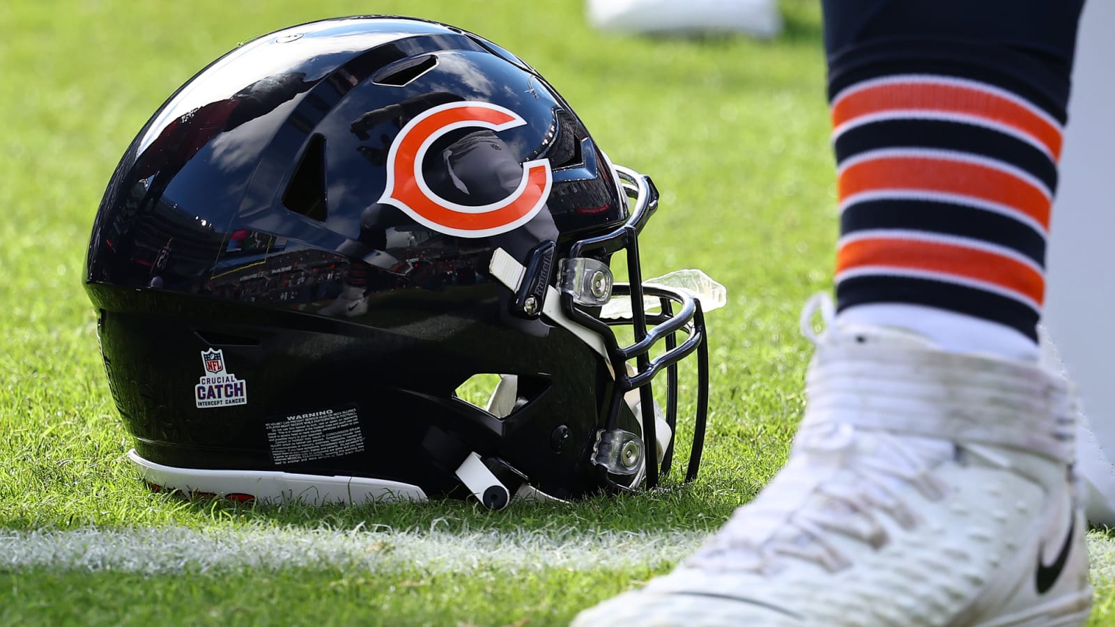 Laura Anderson Joins Bears as New CFO