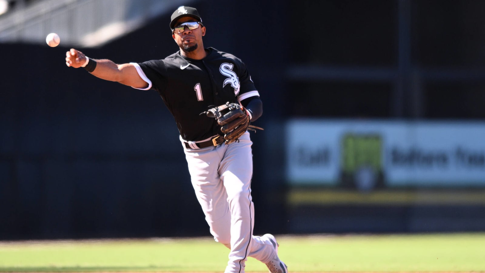 2022 White Sox in Review: Elvis Andrus