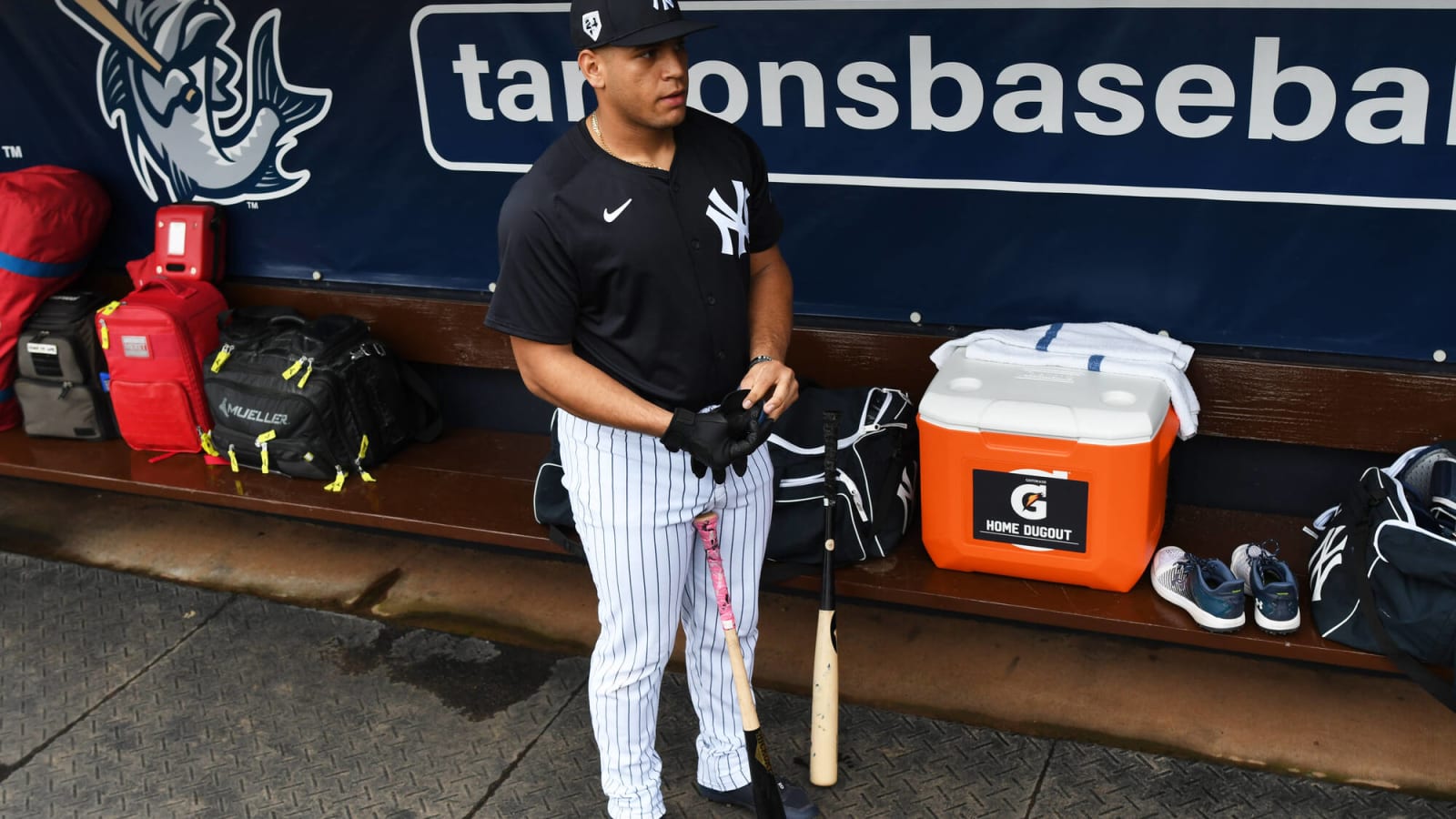 Yankees MiLB Report (5/14): FCL Action, Catchers Flourish, and Pitching Gems