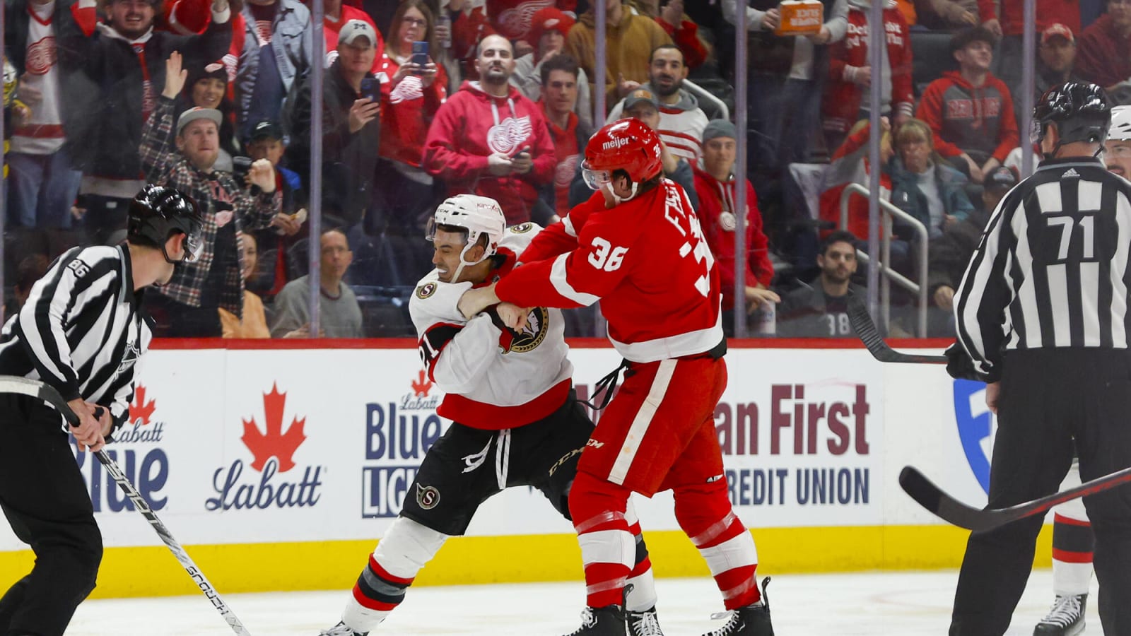 Detroit Red Wings place Christian Fischer on IR, Edvinsson among called up on emergency basis