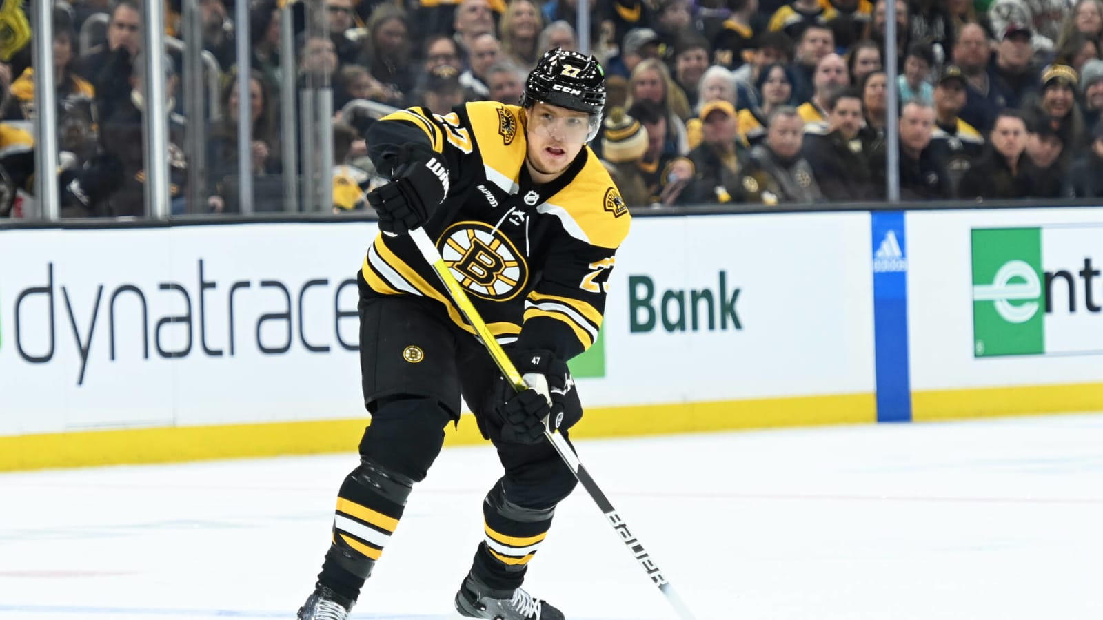 How Do the Bruins Shape Up for 2023-24?