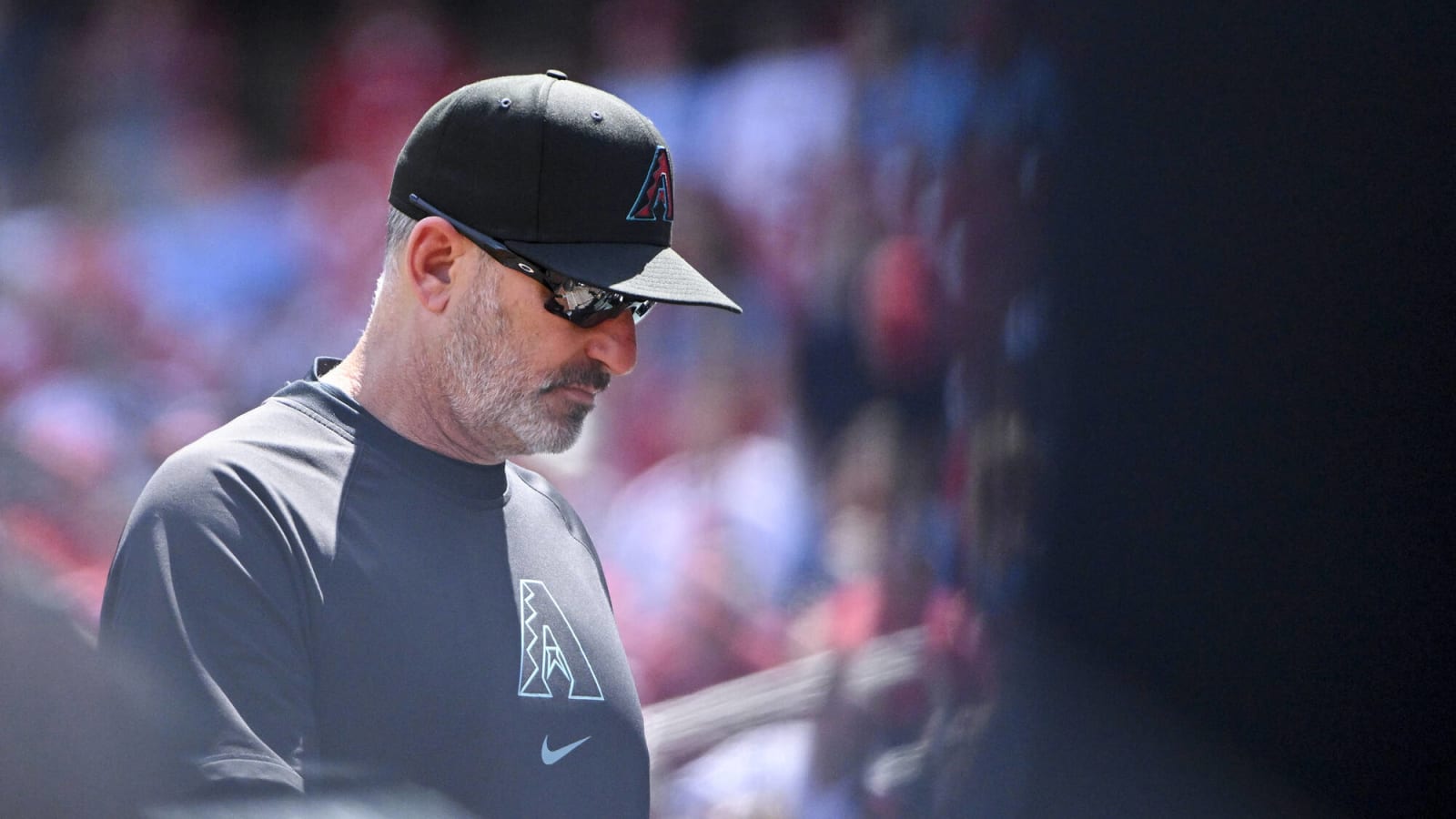 Torey Lovullo Responds to Mike Shildt’s Frustration Over Pitchers Throwing at Fernando Tatis Jr.