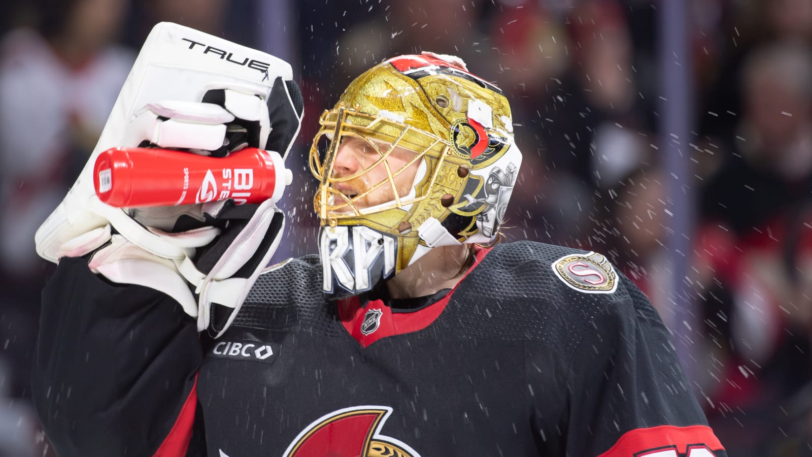 Opinion: Boston Bruins Might Have an Issue at Backup Goaltender