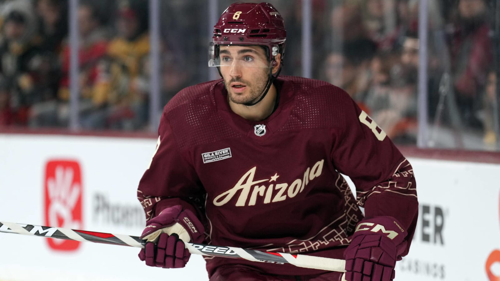 Red Wings Have Hidden Gem Trade Deadline Target from Coyotes
