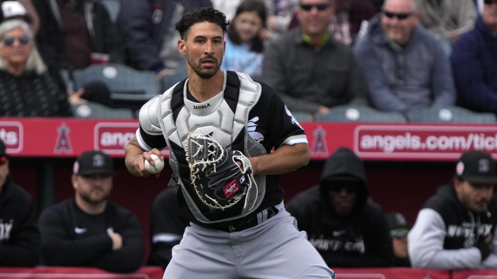 White Sox Update: Zavala, Rule Changes, Moncada, Grifol