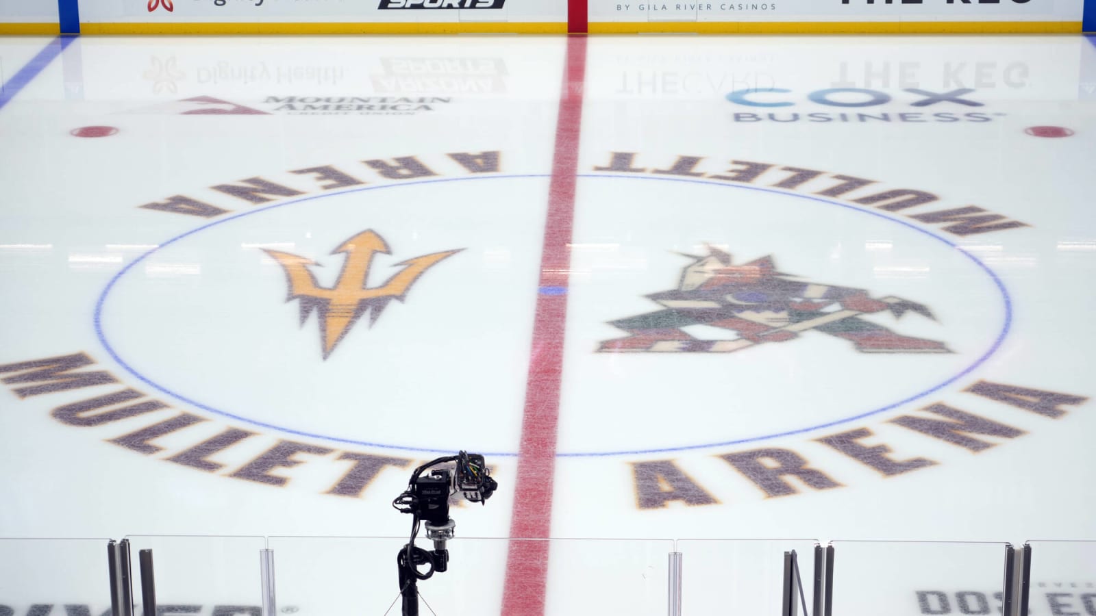 Arizona Coyotes May Not be Dead Yet