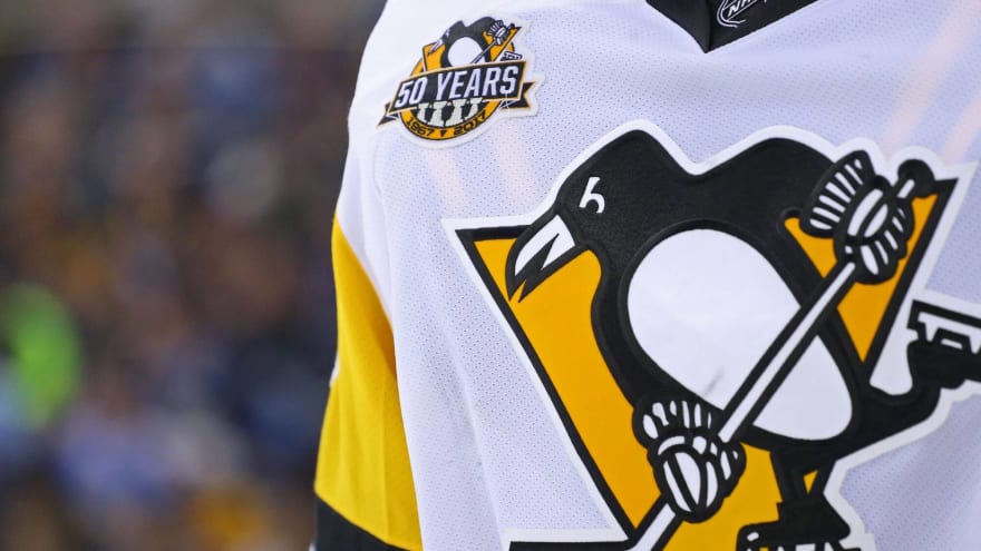 Report: Fenway Sports Group to sell Pittsburgh Penguins to Hoffmann family