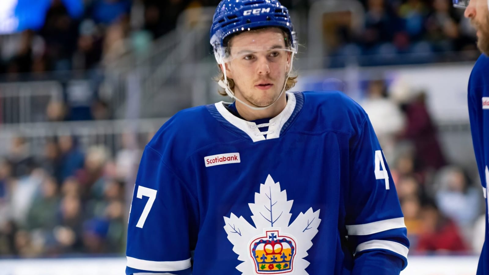 Maple Leafs’ future could be Finnish if their European prospects continue to deliver