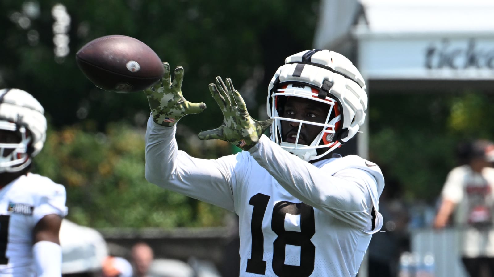 Cleveland Browns Waive Highly Drafted Wide Receiver
