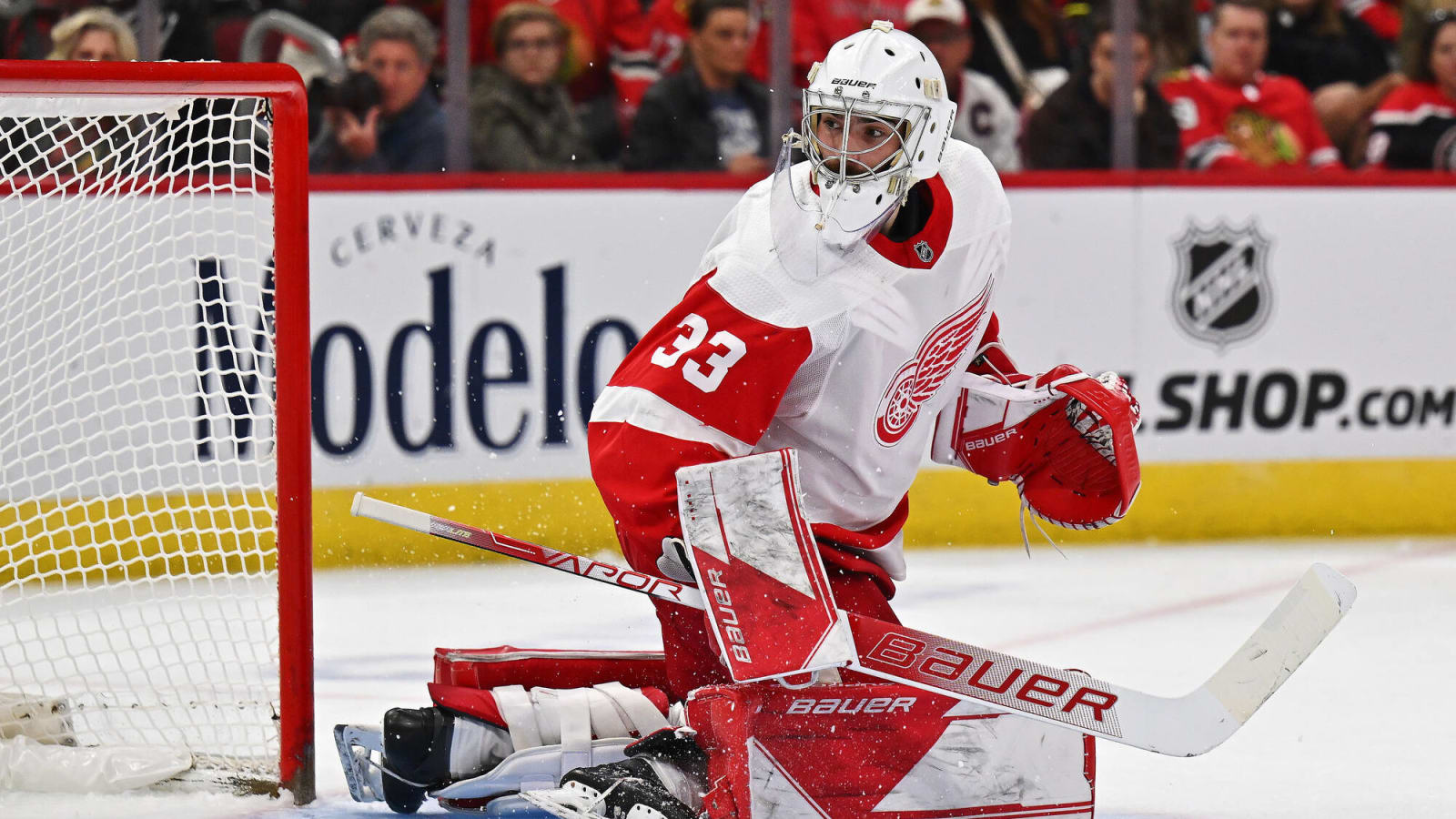 Red Wings benefit from Griffins' playoff berth