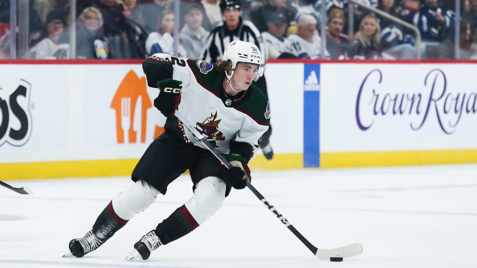 Can Coyotes Rookie Logan Cooley Excel in New Role?