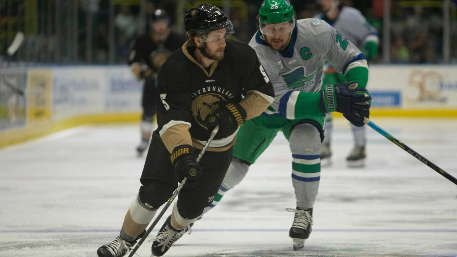 Growlers shutting down is a big loss for Maple Leafs, Newfoundland hockey fans