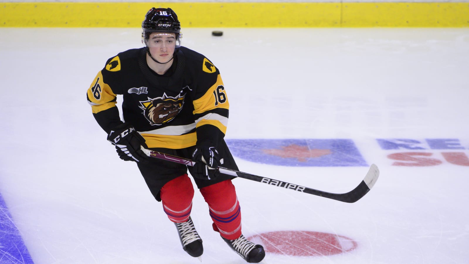 Blackhawks Prospect Check-In: Nick Lardis Leads the Way in the OHL