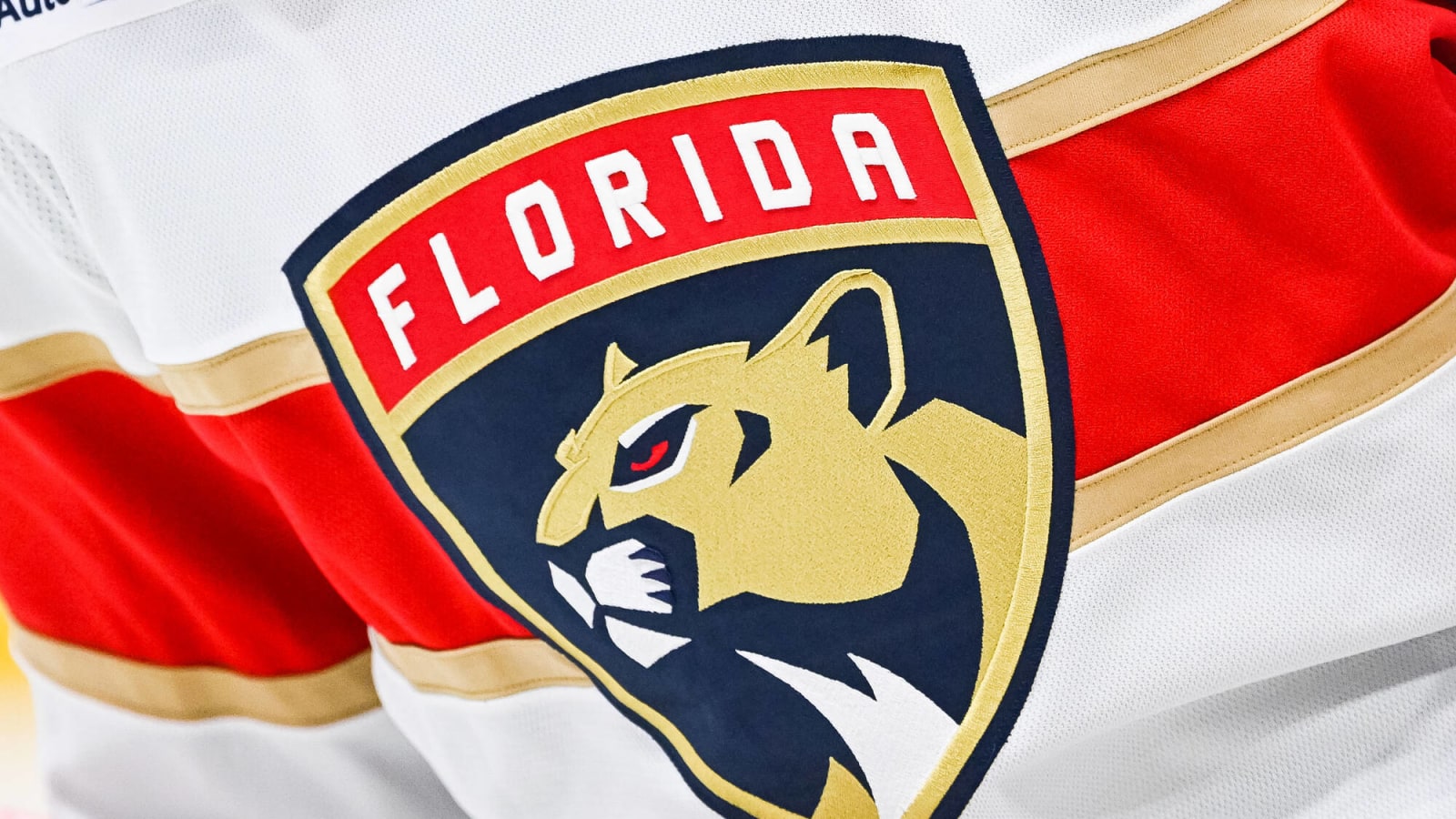 Could the Florida Panthers Have Found a Goalie Gem?