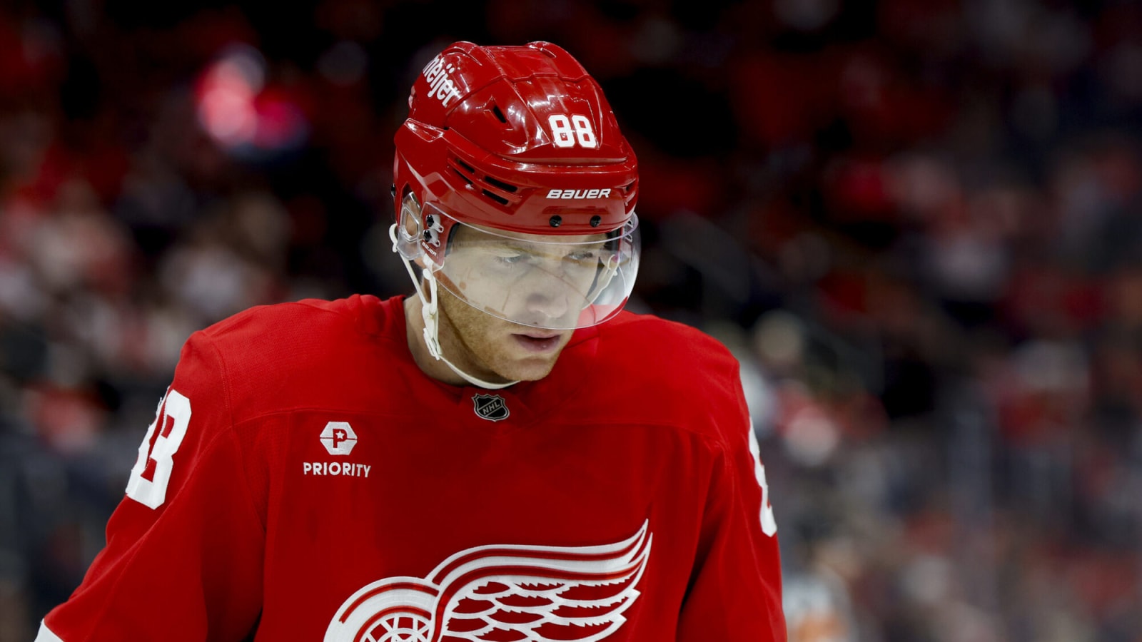 Is this the year the Red Wings finally end their playoff drought?