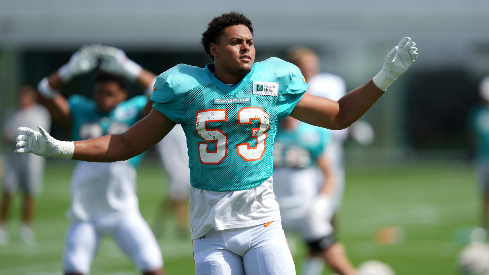 Dolphins Make Four Roster Moves