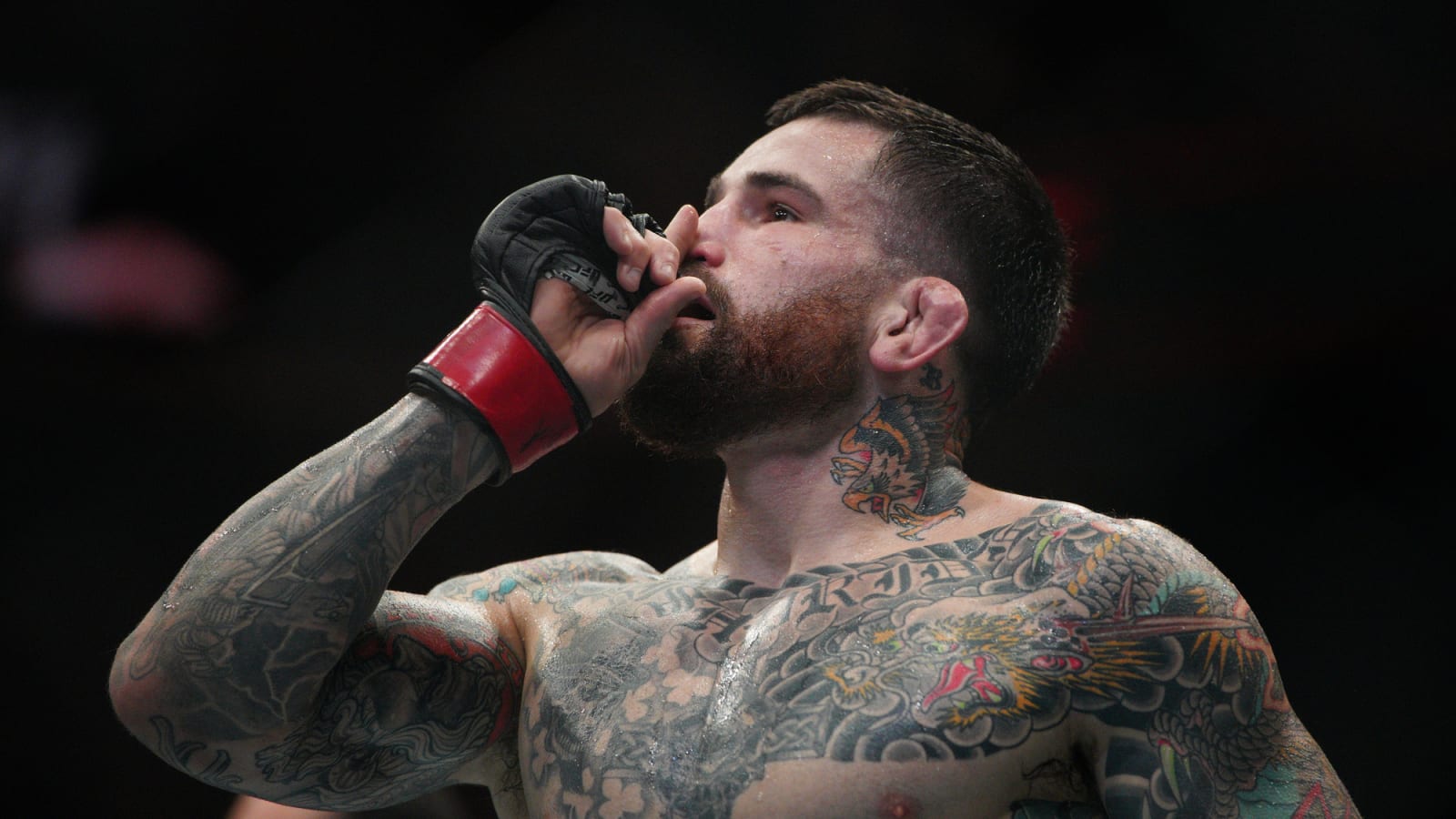 UFC preview: Sean Brady seeks second straight win over former title challenger