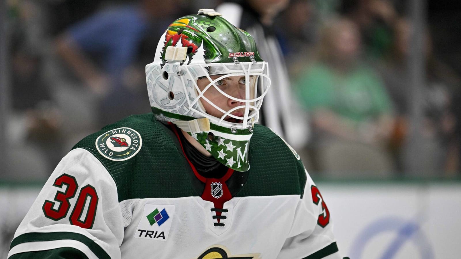 Minnesota Wild recall goaltender Jesper Wallstedt from Iowa AHL