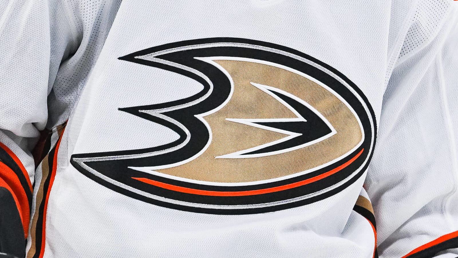 Ducks sign goalie Damian Clara to entry-level contract