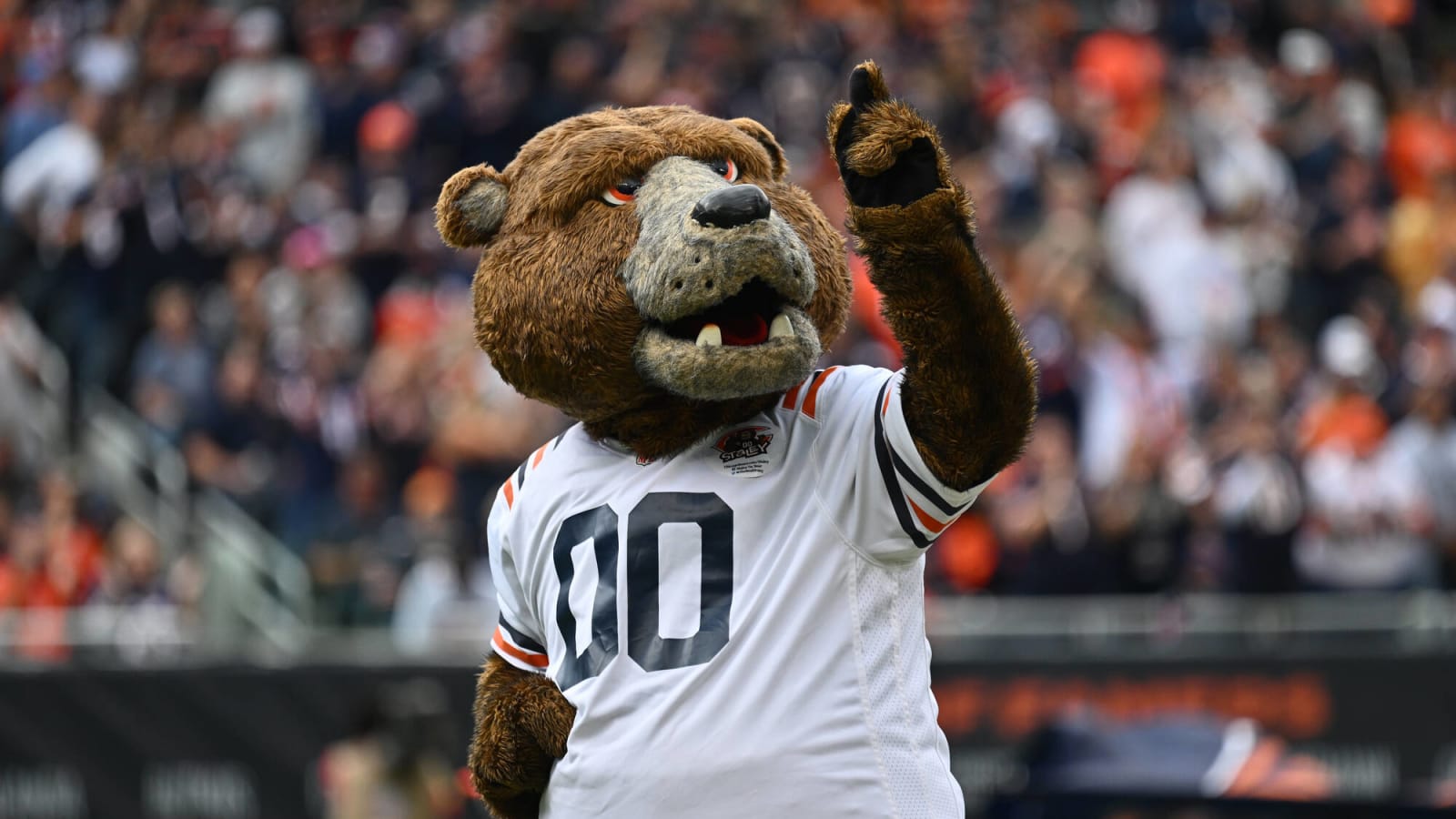 Chicago Bears Mascot Staley Da Bear Nominee For Mascot Hall Of Fame