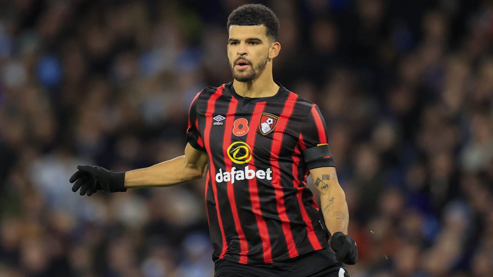 Watch: Solanke doubles Newcastle’s misery with a cheeky improvised finish