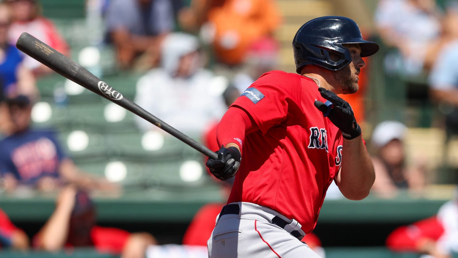 Red Sox spring roster cuts Daniel Palka, Caleb Hamilton, and Ronaldo