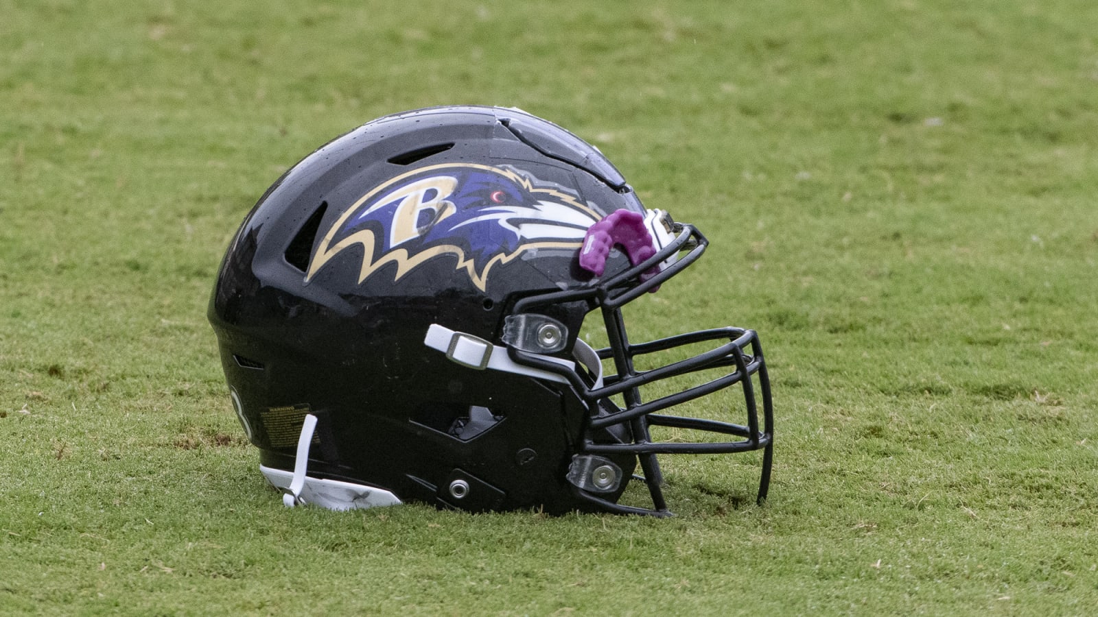 Ravens Picked As In-Season Hard Knocks Team