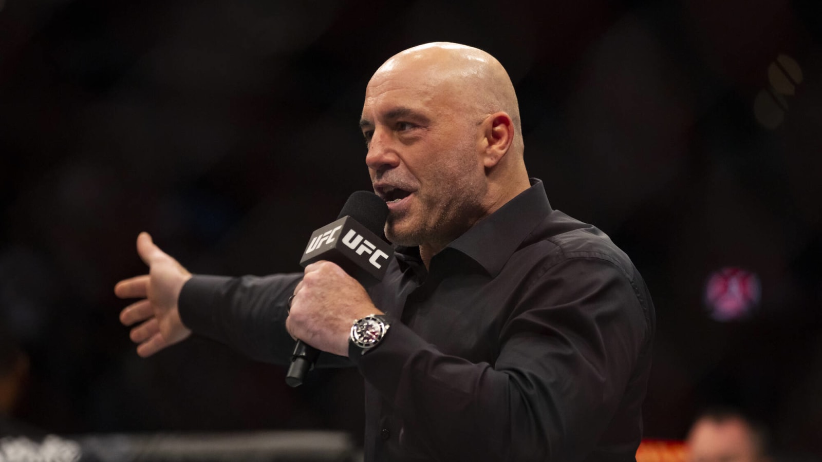 Joe Rogan Loves How ONE Championship Embraces All Of Martial Arts
