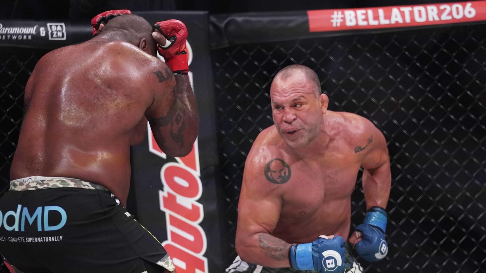 Biography for Former Pride, UFC Star Wanderlei Silva Now Available in English