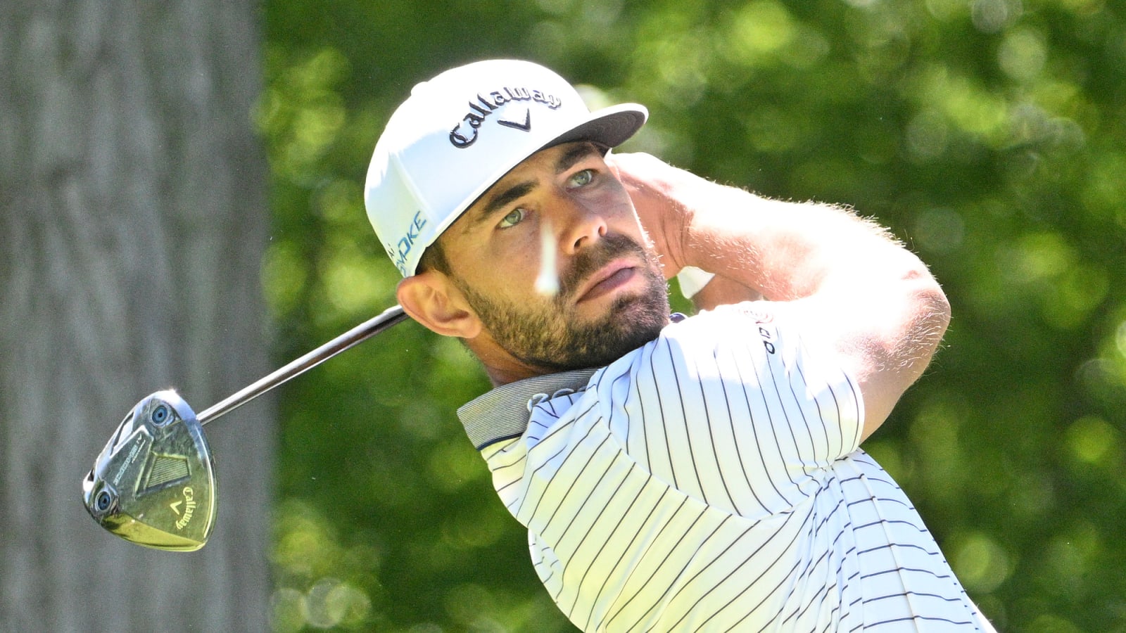 Golf best bets: Dougherty's outright picks for the 3M Open