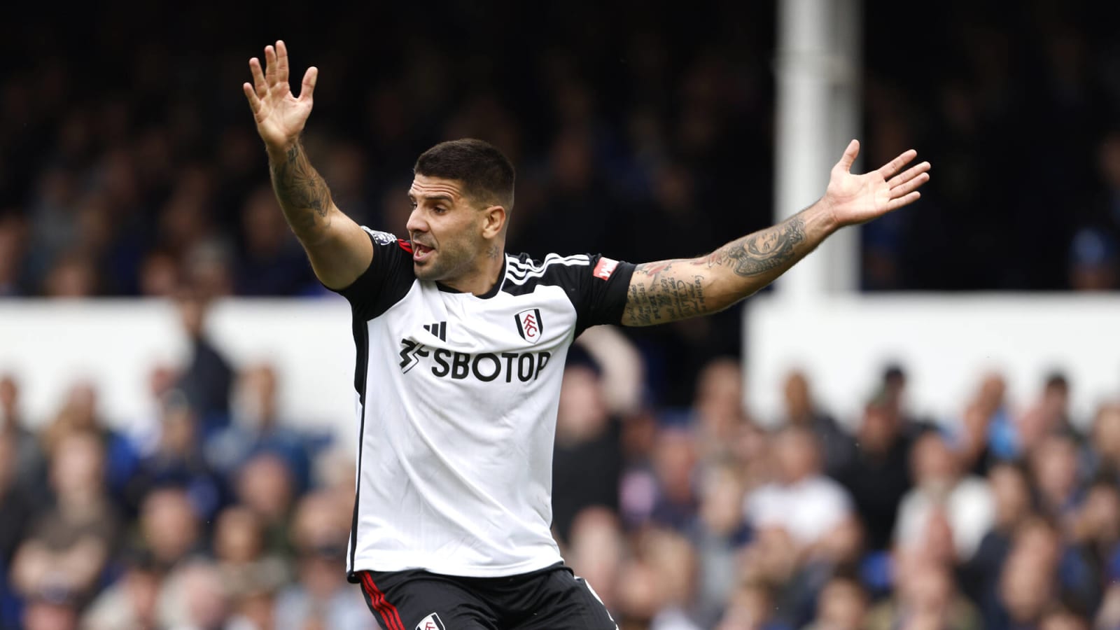 Mitrovic’s latest comments will not go down well with Fulham fans