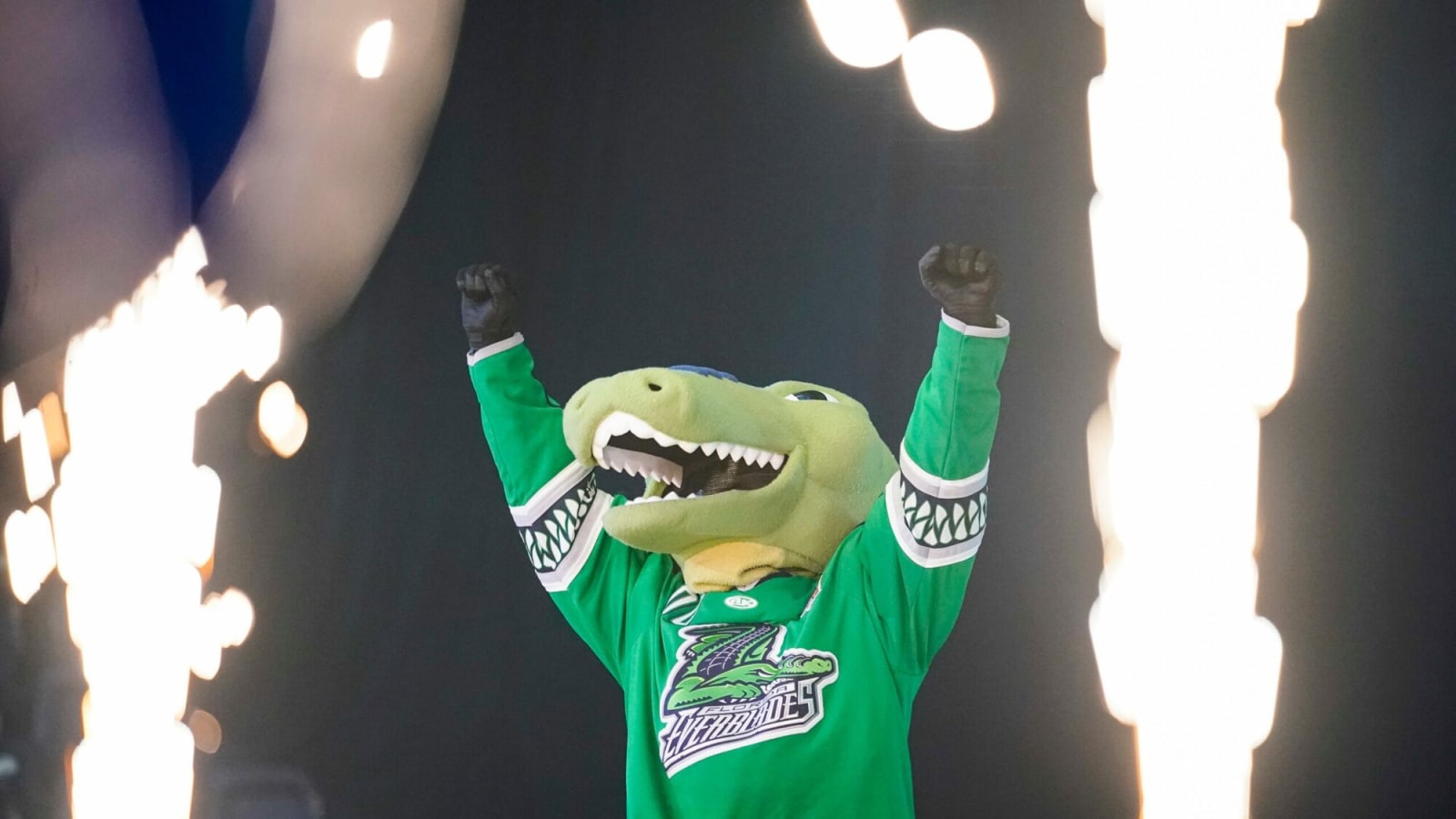 Blues enter affiliation agreement with ECHL’s Florida Everblades