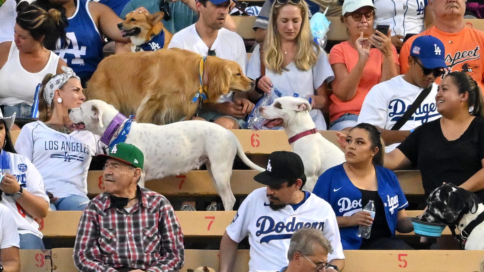 Dodgers Attendance At Dodger Stadium Surpasses 3 Million For 9th Time In Past 11 Seasons