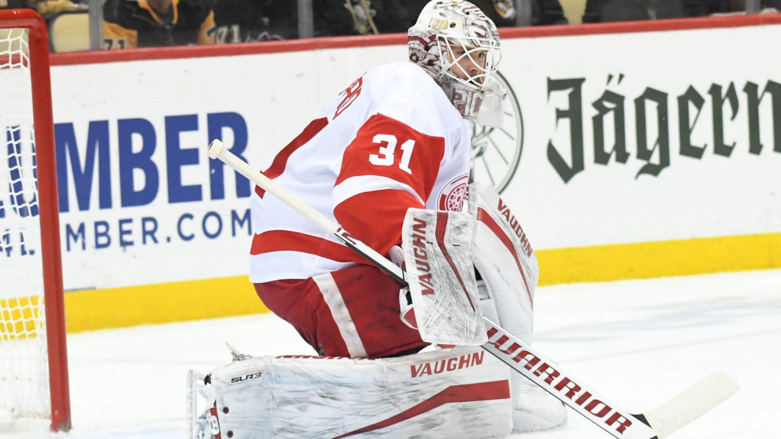 Red Wings recall Pickard from Grand Rapids under emergency conditions