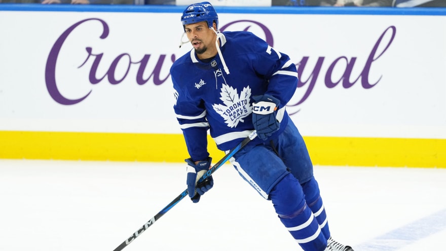 Former Maple Leafs forward Ryan Reaves retires from NHL