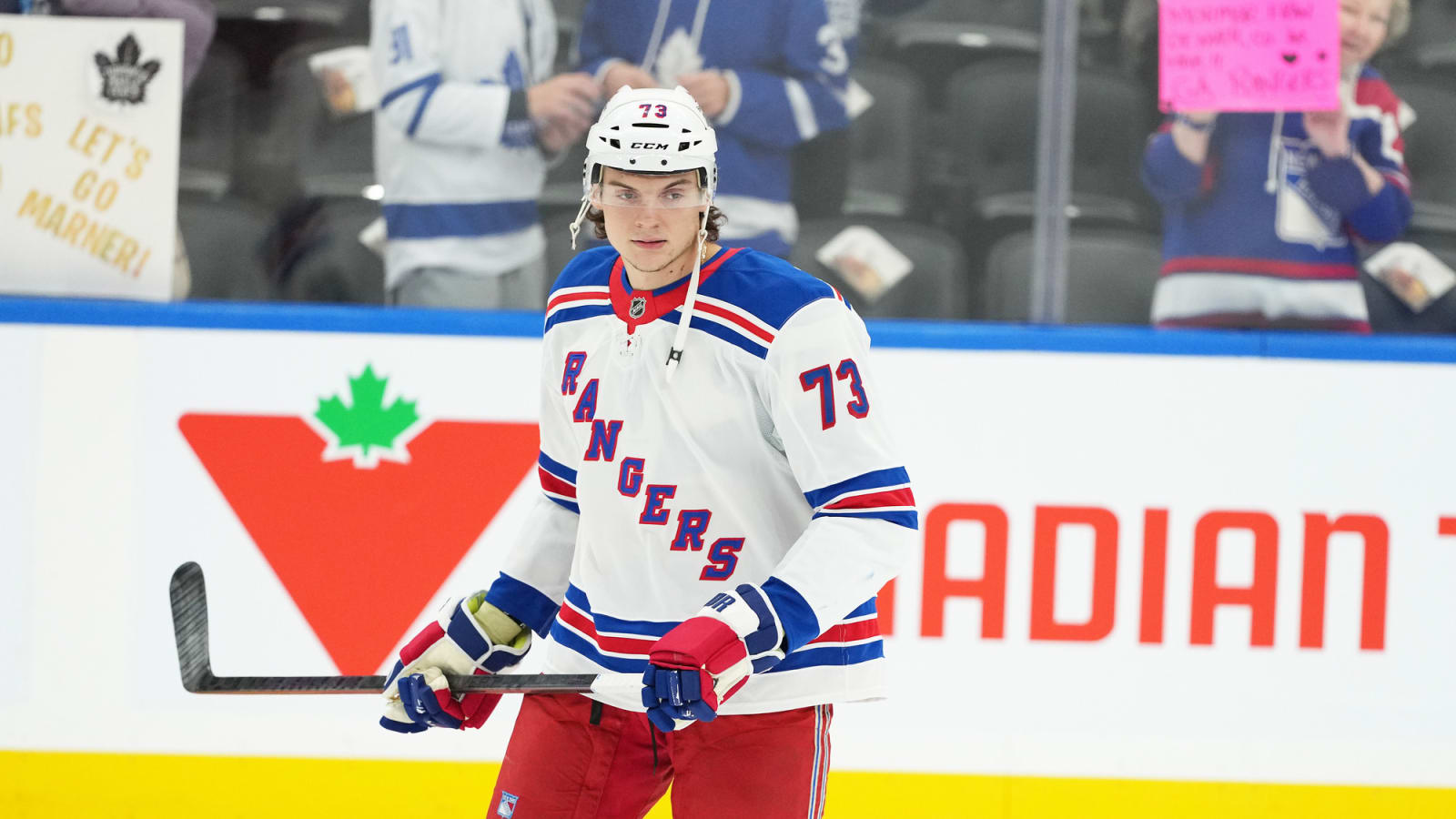 Who are the Five Best Fighters in the National Hockey League?