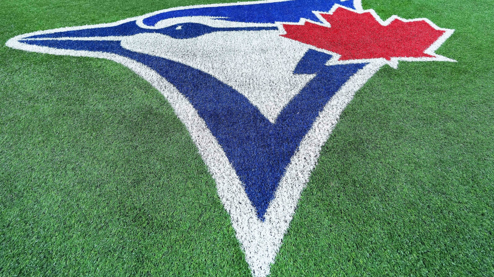 Under the Radar Blue Jays prospects: Yohendrick Piñango